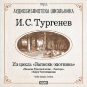 Из записок охотника: Касьян с Красивой мечи. Конец Чертопханова. Контора