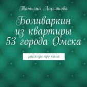 Боливаркин из квартиры 53 города Омска. Рассказы про кота